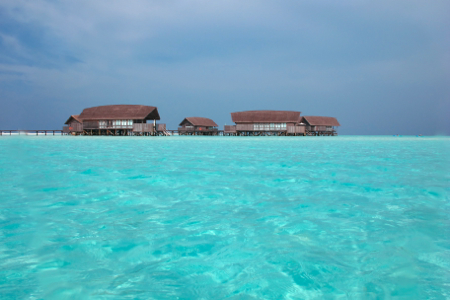 d0298808_15321288.jpg