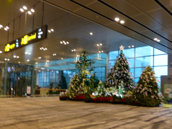 d0298808_1630361.jpg