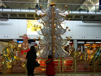 d0298808_1632292.jpg