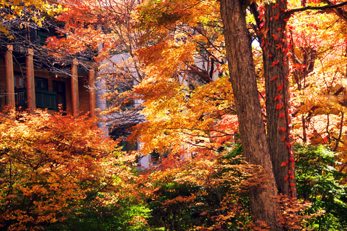 奥日光　中禅寺金谷ホテルの紅葉1_a0263109_851839.jpg