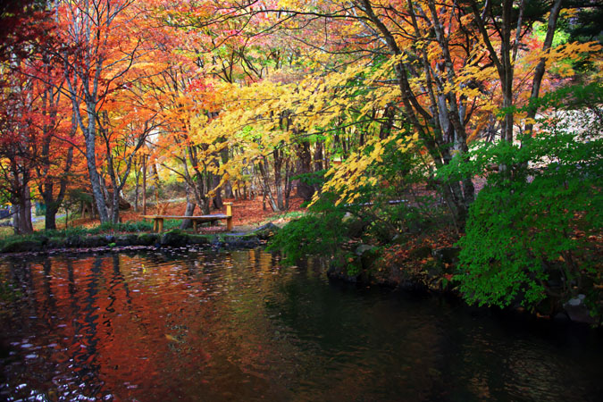 奥日光　中禅寺金谷ホテルの紅葉1_a0263109_8531676.jpg