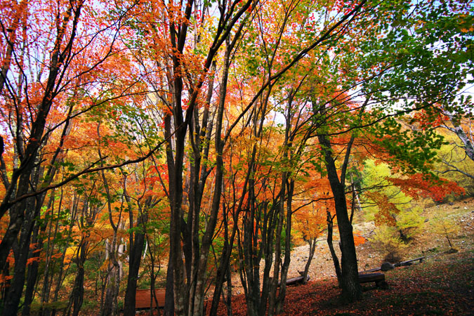 a0263109_936091.jpg