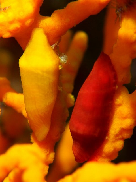 d0175710_023163.jpg