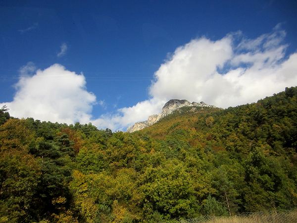 b0064411_212085.jpg