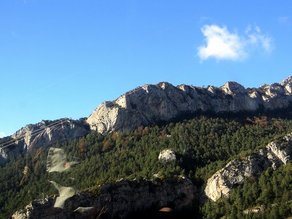 b0064411_21855.jpg