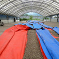 a0164012_10402832.jpg