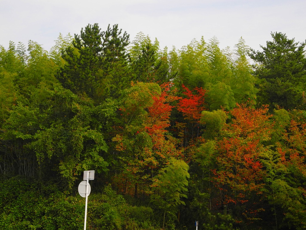 b0276912_1504385.jpg