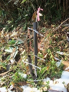 c0173813_13564167.jpg