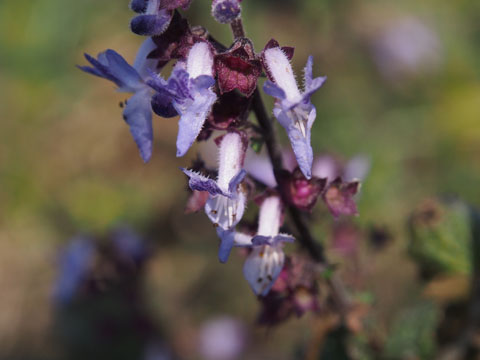e0293913_22165611.jpg
