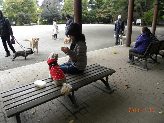 b0203018_16351342.jpg