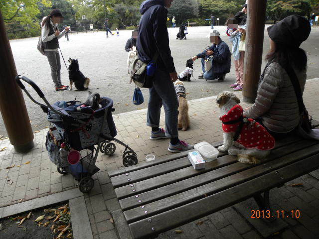 b0203018_1636460.jpg