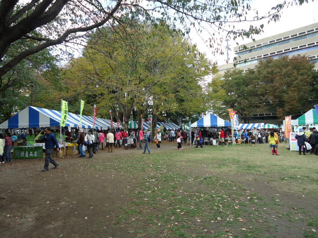 b0203018_16374380.jpg