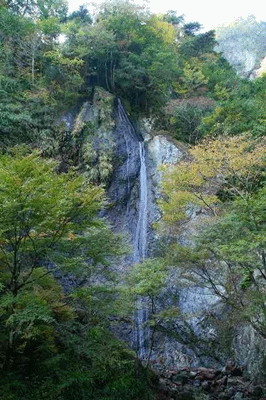 e0284019_2201916.gif