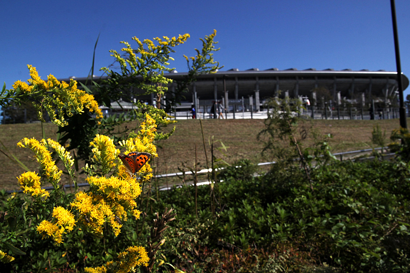d0054625_173822.jpg
