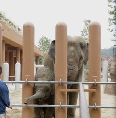 動物園♪_b0188327_1718374.jpg