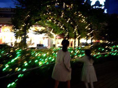 b0244227_19193522.jpg