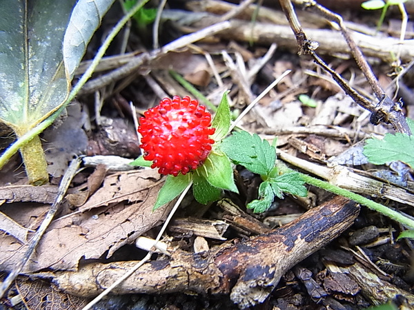 f0270027_22113846.jpg