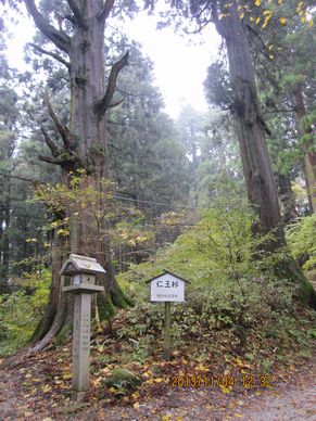 大和葛城山～金剛山（葛木山）ダイアモンドトレール_a0107329_1917691.jpg