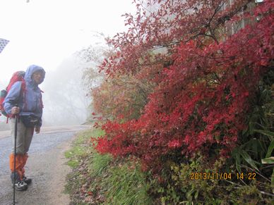 大和葛城山～金剛山（葛木山）ダイアモンドトレール_a0107329_19244552.jpg