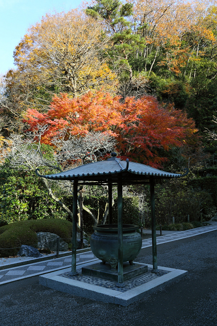 鎌倉散歩　#39 －紅葉の北鎌倉巡り（明月院・中編）－_b0169330_1422583.jpg