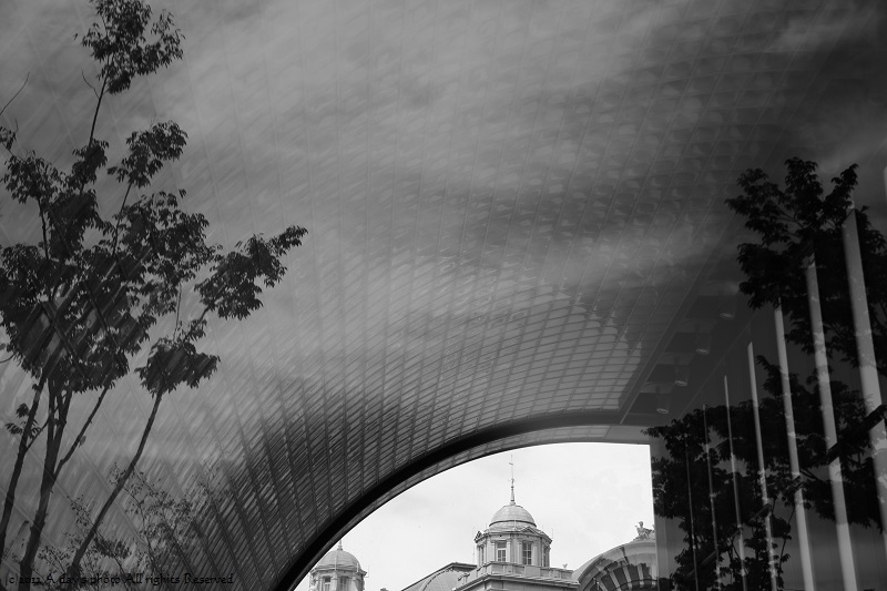 c0244037_201377.jpg