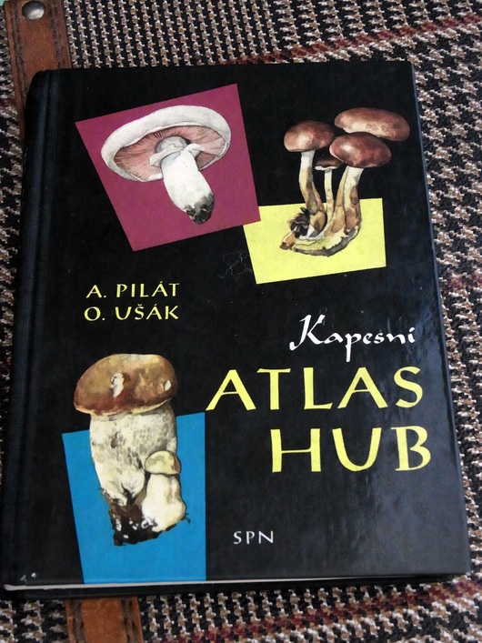 チェコのキノコ図鑑、フランスのアンティークキノコ博物画_f0280238_22112795.jpg