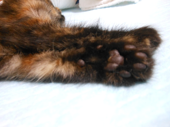 a0319840_13301116.jpg