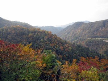 e0110940_1113746.jpg