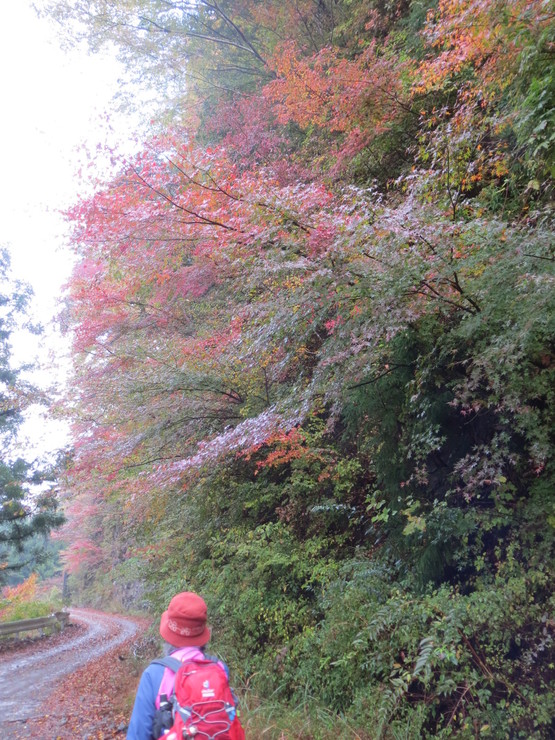 e0060041_21321259.jpg