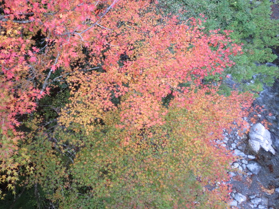 e0060041_21352847.jpg