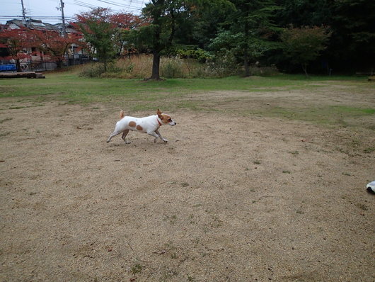 雨が降る前に_f0128542_9243769.jpg