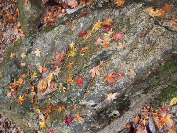 a0201743_22354932.jpg