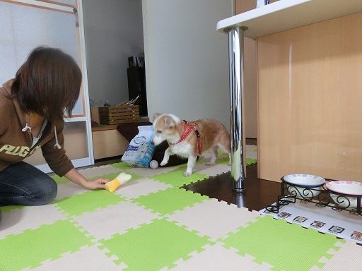 d0204043_11279.jpg