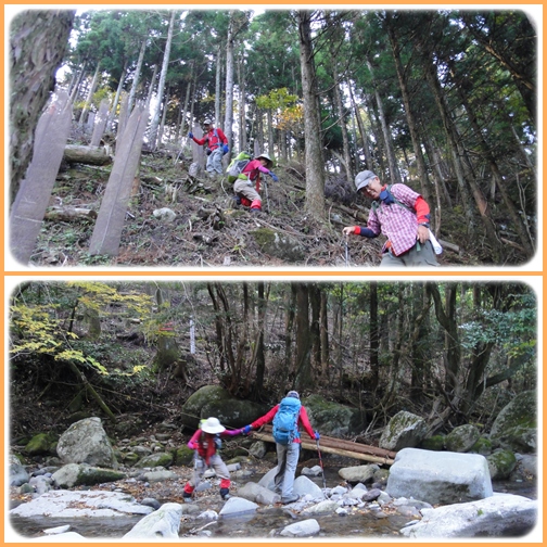 岳減鬼山~障子ヶ岳_e0164643_1444348.jpg