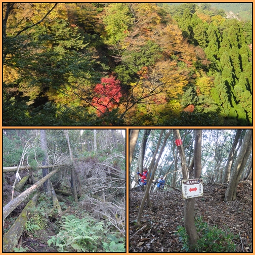 岳減鬼山~障子ヶ岳_e0164643_1453742.jpg