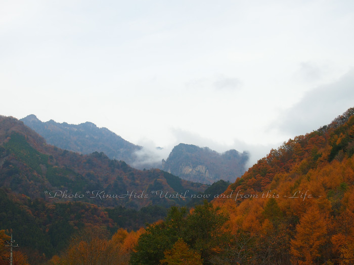 ......錦の山♪　～秩父～_e0151944_22175339.jpg