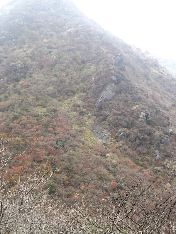 a0206345_21122960.jpg