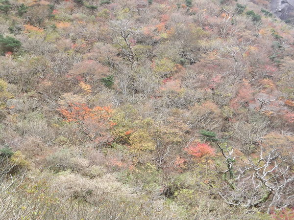 a0206345_2144648.jpg