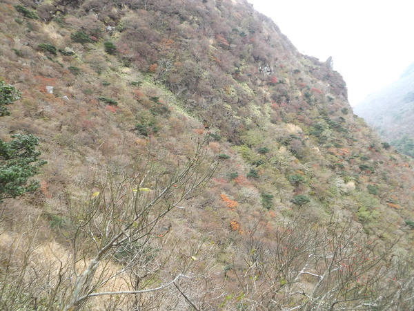 a0206345_21461027.jpg