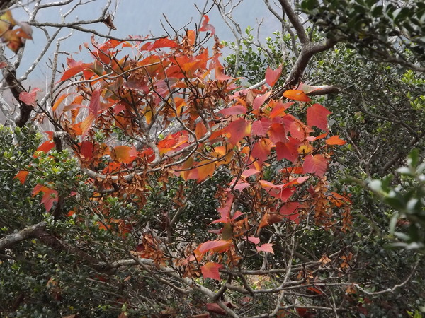 a0206345_22182977.jpg