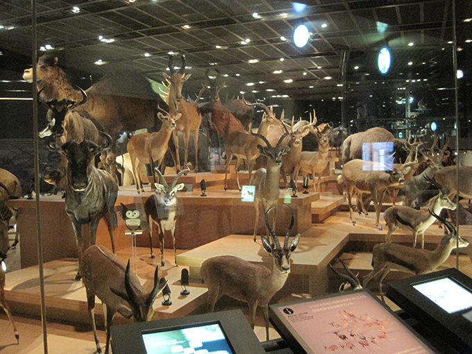 b0203645_35592.jpg