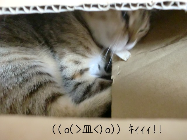 c0259945_14324915.jpg