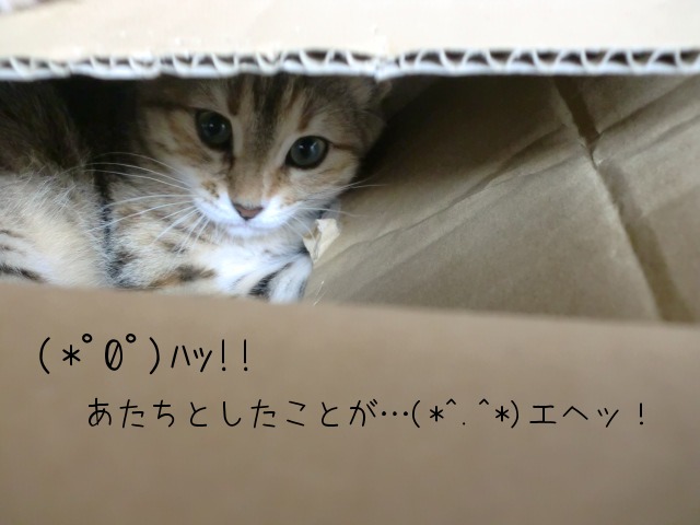 c0259945_14331068.jpg