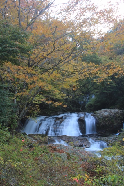 江竜田の滝　＠福島県鮫川村_f0048546_5394161.jpg