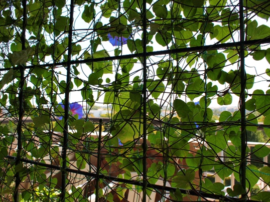 f0096147_20205091.jpg