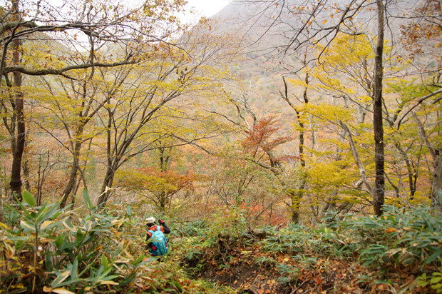 三瓶山紅葉の茶会①_f0214649_10275951.jpg