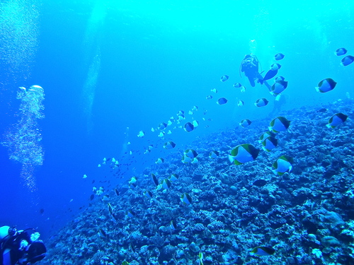 a0122752_18245739.jpg