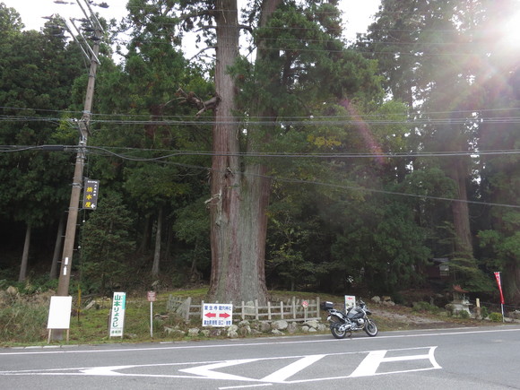 b0250353_19315042.jpg
