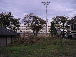 拝島多摩川２_c0001653_355529.jpg