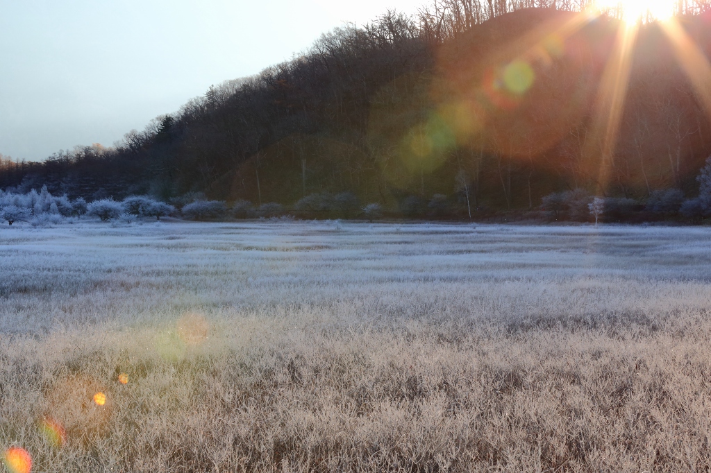 小田代ヶ原　　　2013_11_11　更新_e0229455_15123075.jpg